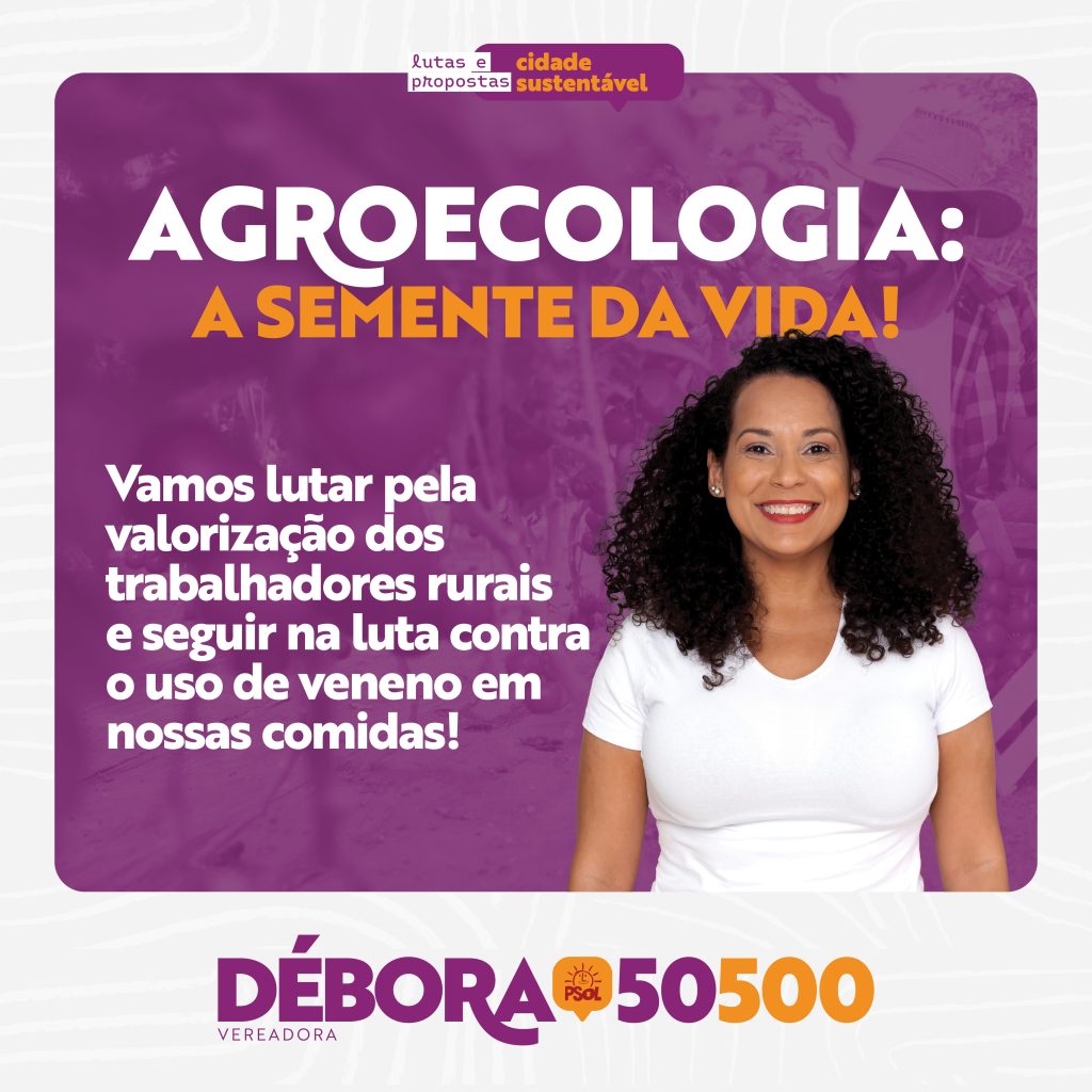 Agroecologia: para alimentar a população com qualidade e sem veneno